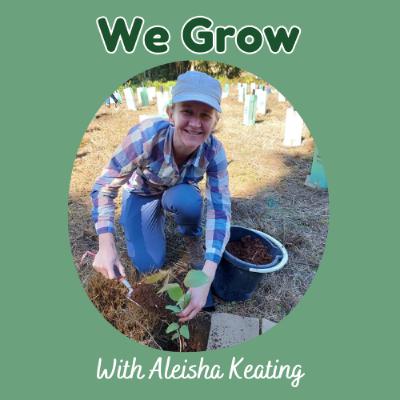 11: Effective Environmental Leadership