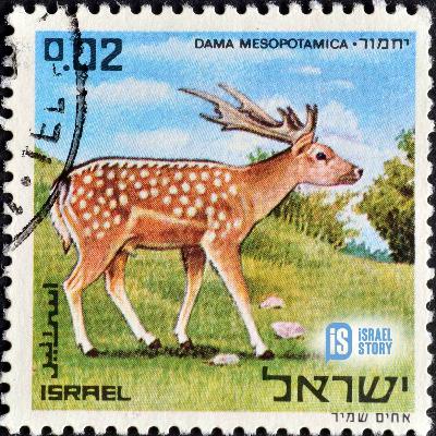 166: Frankly, My Deer