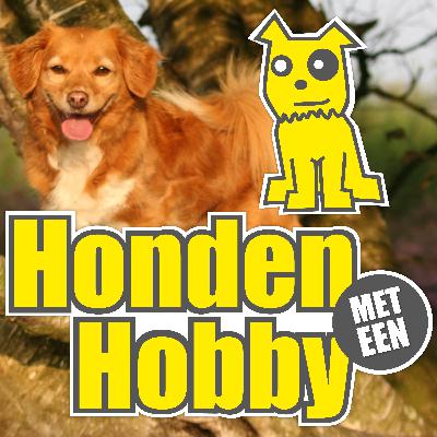 #8: Waar komen honden vandaan? Hoe is de hond de hond geworden?  Wat is de oorsprong van de hond?