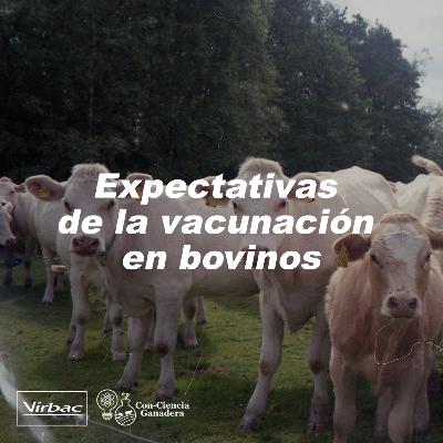 8. Expectativas de la vacunación en bovinos