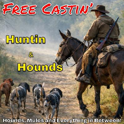Hounds and Huntin stories Hounds and Huntin stories