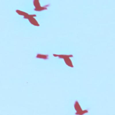 Kaja Kraska (Remix by siedem9) - Footprints