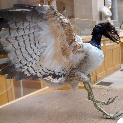 30.09.1861: Hermann von Meyer beschreibt einen Ur-Vogel