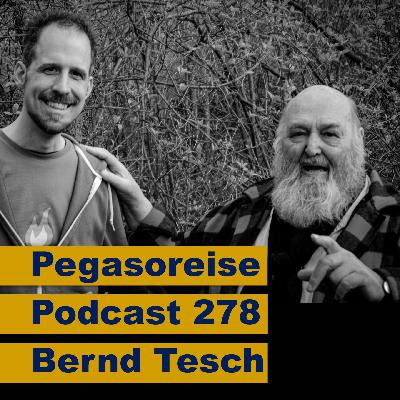 pp278 - Bernd Tesch