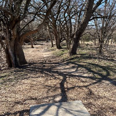 Mr. Pole Jangles at West Millbrook Disc Golf Course in Wichita, KS