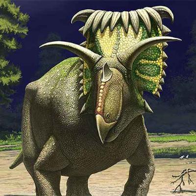 Kosmoceratops, the Ornate Horned Face Kosmoceratops, the Ornate Horned Face