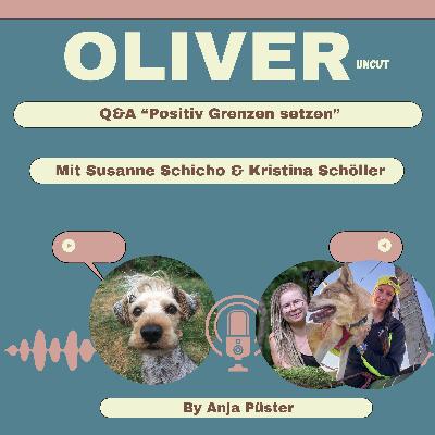Q&A "Positiv Grenzen setzen"