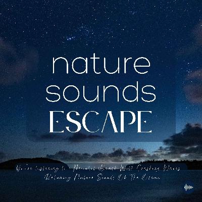 Moonlit Beach With Crashing Waves | Relaxing Nature Sounds Of The Ocean | Relaxing Nature Sounds For Sleep, Meditation, Relaxation, Studying Or Focus | Sleep Music, Sleep Sounds, Study Music, Zen, Sleep Fast, White Noise, Música Relajante Para Dormir