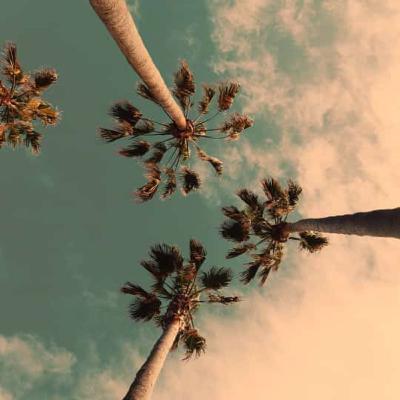 Mellow Vibes Podcast E1