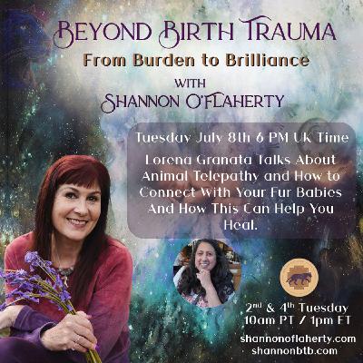 Lorena Granata Talks About Animal Telepathy and How to Connect With Your Fur Babies To Help You Heal