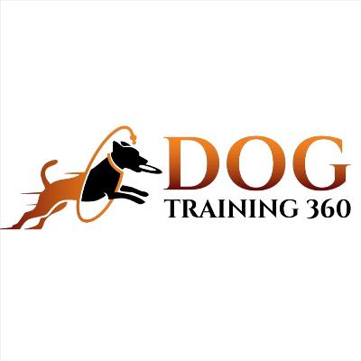 Going Back To The Basics In Training Going Back To The Basics In Training