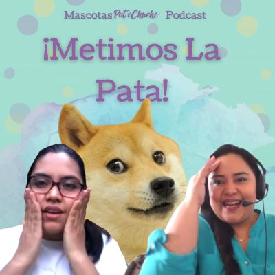 004. Metimos La Pata