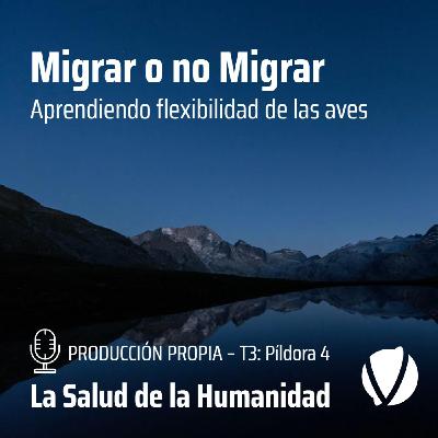 T3-Píldora 4: Migrar o no Migrar. Aprendiendo flexibilidad de las aves