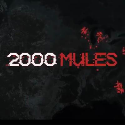 “2000 Mules” “2000 Mules”