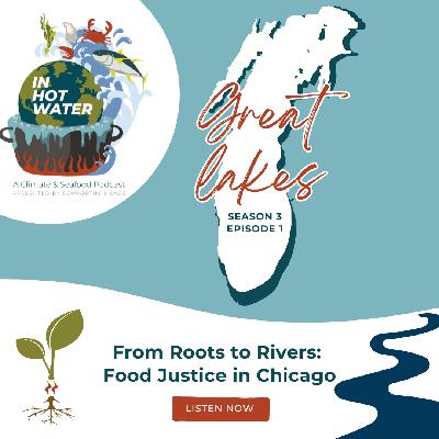 From Roots to Rivers: Food Justice in Chicago