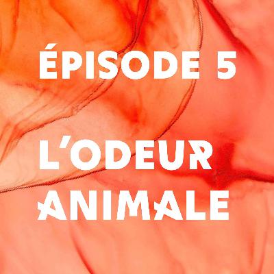 Épisode 5 - L'odeur animale
