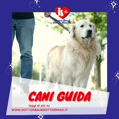 Cani Guida, non solo protesi.