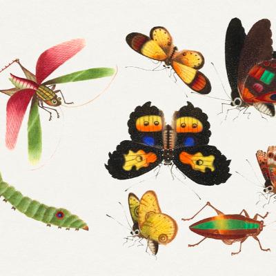 Bugs & The Beatles EP # 38