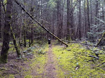 Into the Vault (again): Ep. 15 Run to Galiano Island