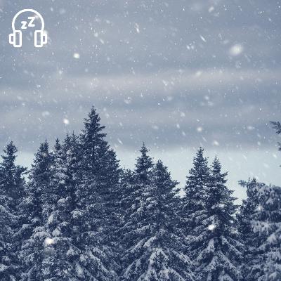 Blizzard Sounds for Sleep | Winter Forest Snowstorm and Howling Wind for Relaxation