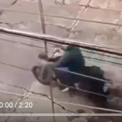 Así fue el ataque de un Sicario a la madre de un integrante del grupo Revolución Social en Morelia, ofrecen 500 mil pesos por su cabeza