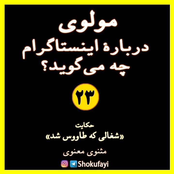 مولانا دربارۀ اینستاگرام چه میگوید؟