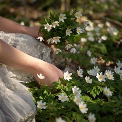 The Magical Manifesting Garden - All things manifesting, whilst receiving a Divine Blessing ...
