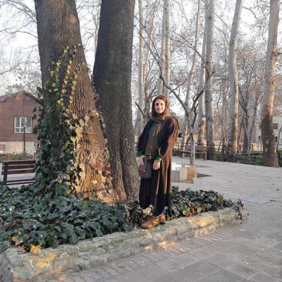کوه ها در فاصله سردند
