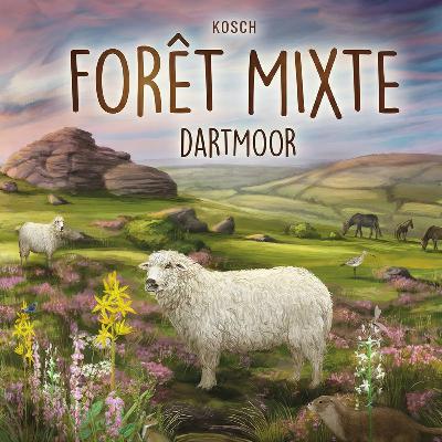 🌲 Forêt Mixte Dartmoor : Le Choc des Expériences 🥾 🌲 Forêt Mixte Dartmoor : Le Choc des Expériences 🥾