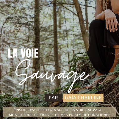 #5 Le pélerinage de la voie sauvage - mon retour de France et mes prises de conscience #5 Le pélerinage de la voie sauvage - mon retour de France et mes prises de conscience