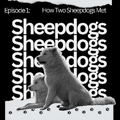 Ep 1: How Two Sheepdogs Met
