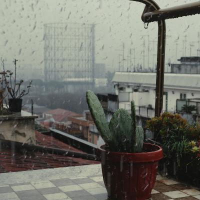 Urban Rain (Binaural ASMR) - Cozy Ambience - Pioggia città