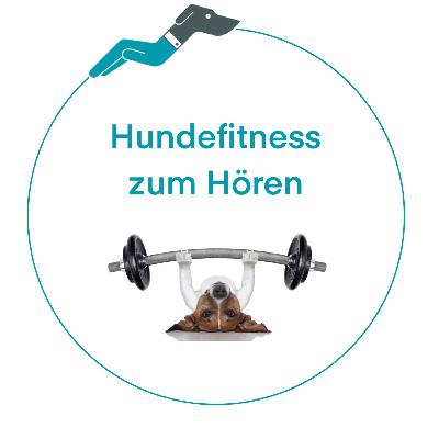 Folge 6: Muskelarbeitsweise - Isometrisches Training