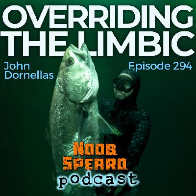 NSP:294 Over-Riding the Limbic for Freedom | John Dornellas