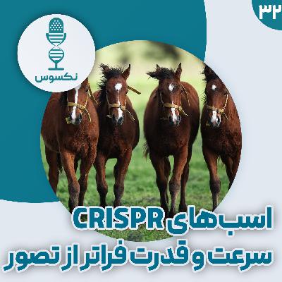۳۲— اسب‌های سریع‌تر، گاوهای مقاوم‌تر: CRISPR چگونه دنیای حیوانات را تغییر می‌دهد؟