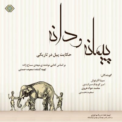 رادیولوزی - پیمانه و دانه حکایت پیل در تاریکی رادیولوزی - پیمانه و دانه حکایت پیل در تاریکی