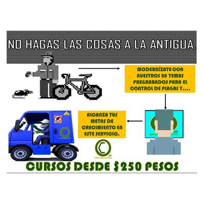 Dinámica informativa.