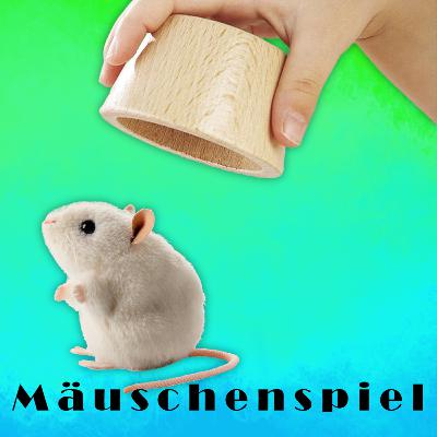 Mäuschenspiel