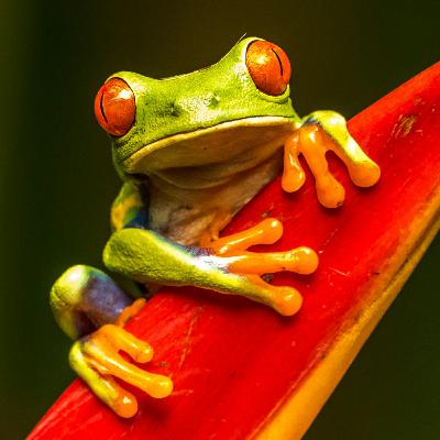 20250812 - Relaxed alertness