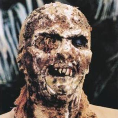 ZOMBIES: LA INFECCIÓN Y LA HORDA Cine de Terror Capítulo 6