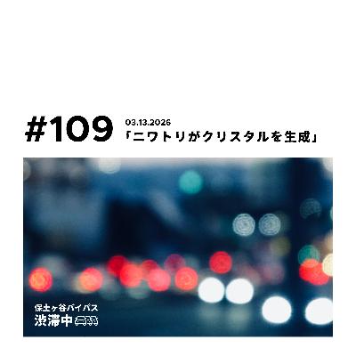 第109回『ニワトリがクリスタルを生成』