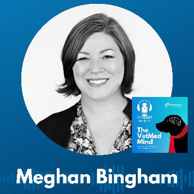 Success Stories & Lessons Learned: Meghan Bingham