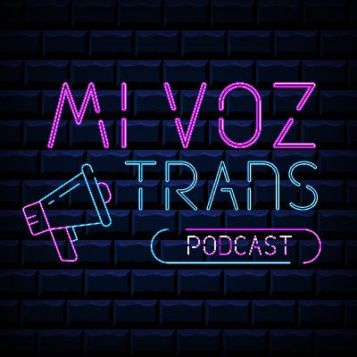 Activismo, poder e intereses: una mirada crítica desde el contexto trans en México Activismo, poder e intereses: una mirada crítica desde el contexto trans en México