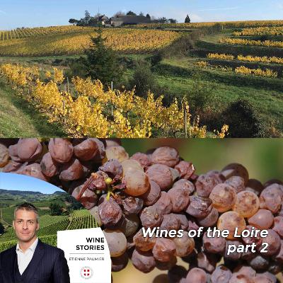Wine Stories - S1E10 - Wines of the Loire p2
