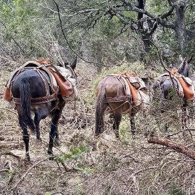 Ep. 097: Packing with a Purpose - How Mountain Mule Packers Became Unexpected Heroes