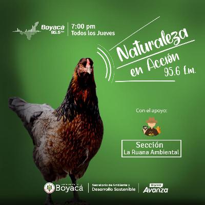 T2-Ep 6 - Hablemos de la Política Pública de Protección y Bienestar Animal del departamento de Boyacá