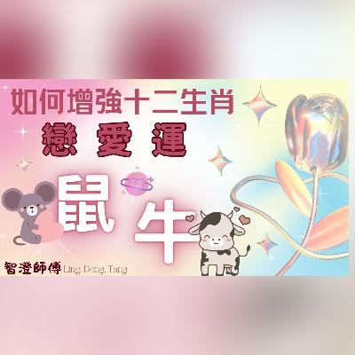 十二生肖戀愛運增強秘訣 —【屬鼠、屬牛】| 愛情概括運程 | 單身如何提升桃花運 | 已婚或有伴侶如何擁有和諧及幸福生活 | 增強桃花運方法