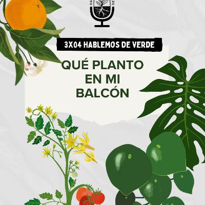 ¿Qué planto en mi balcón? con @planticidad | 3x04 | Hablemos de verde