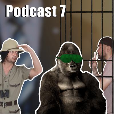 Podcast 7