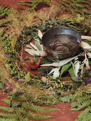 Grief, Trauma and the Healing Power of Words with Poet Hayley Frances Grief, Trauma and the Healing Power of Words with Poet Hayley Frances